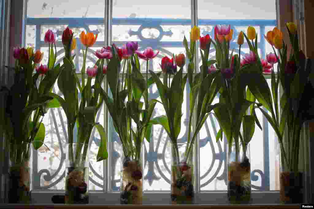 Flowers are displayed at the Dutch Ambassador's residence during the Tulip Days celebration, an event celebrating the Dutch horticulture sector and its ties to the United States, in Washington, US.