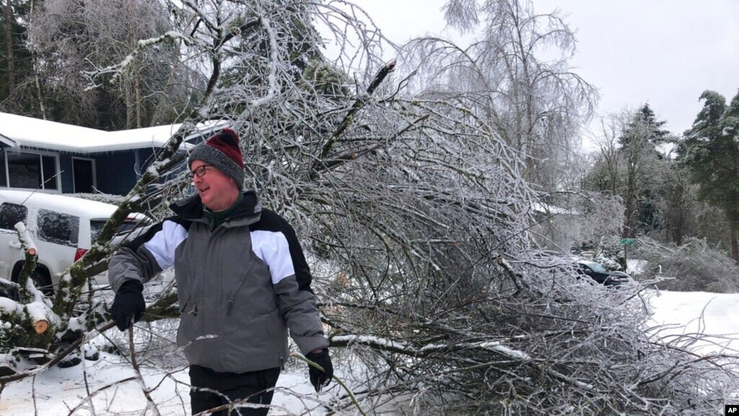 People walk by a collapsed tree in Lake Oswego, Ore., Feb. 13, 2021. The tree fell during an ice and snowstorm that left hundreds of thousands of people without power and disrupted travel across the Pacific Northwest.