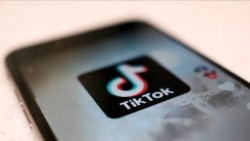 共和黨參議員：TikTok本地存儲美國數據無法解決核心安全關切
