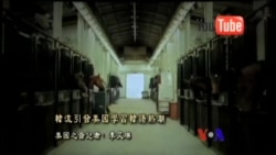 美國專訊 600 (2015年11月1日)