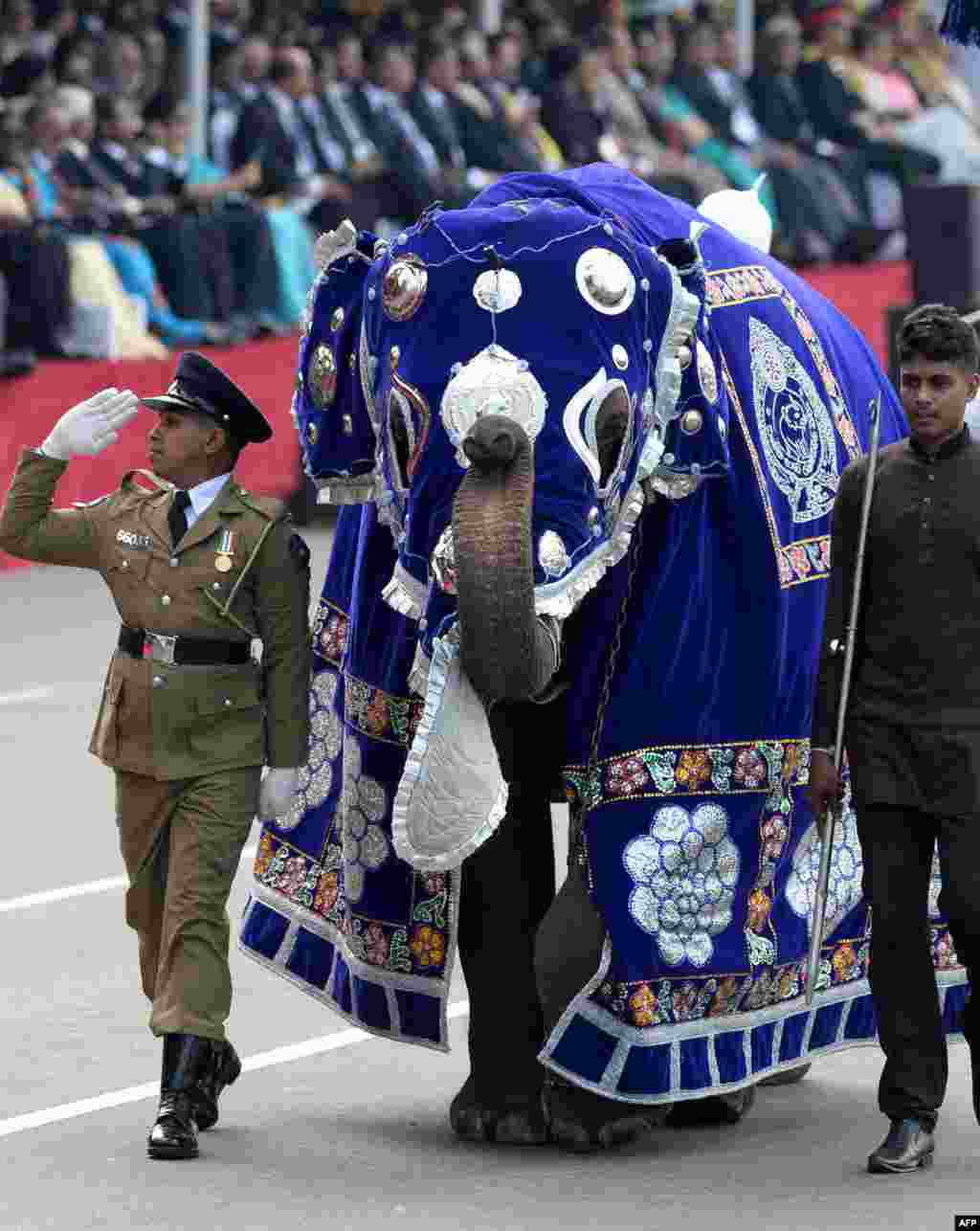 Sri Lankan military personnel march with a baby elephant during the island's 71st Independence Day celebrations in Colombo.