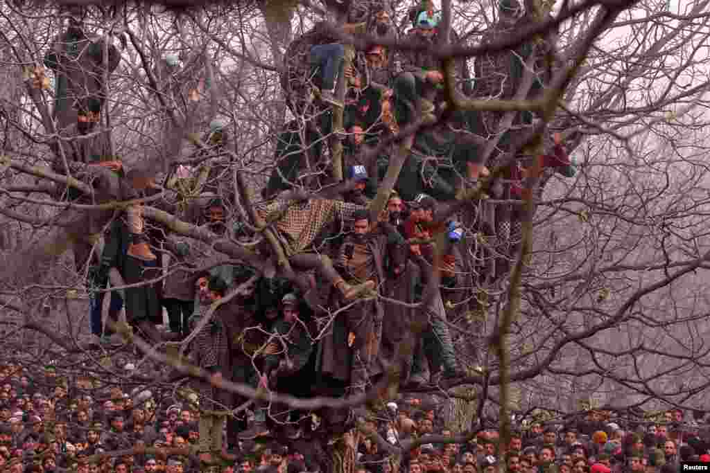 People wait in a tree to offer prayers for Mohd Waseem Wagay, a suspected militant, who according to local media was killed in a gun battle with Indian security forces, at Amshipora village in south Kashmir's Shopian district.