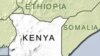 Cases of Domestic Violence Increase in Kenya