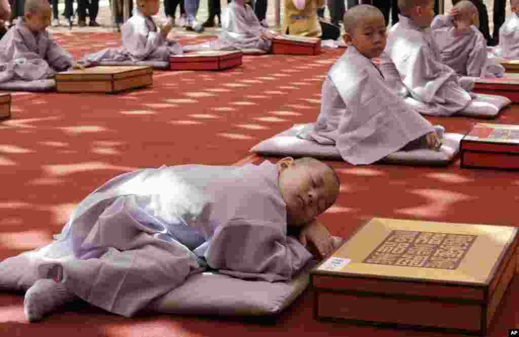 A boy whose Buddhist name is Myung Bub naps after having his head shaved during a service to celebrate Buddha's upcoming 2,563th birthday on May 12, at the Jogye Temple in Seoul, South Korea.