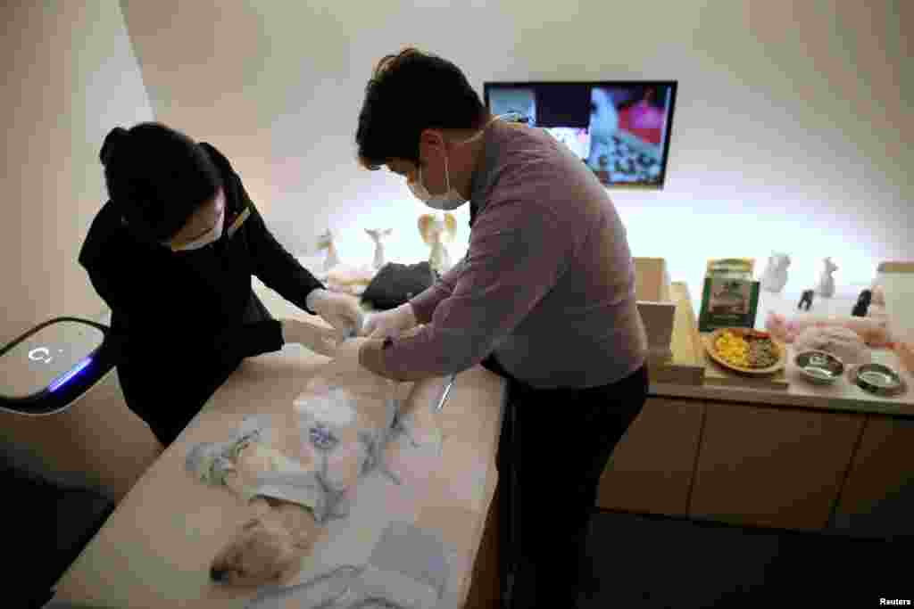 Kang Sung-il, a pet funeral manager, dresses the body of a dog in a funeral clothes before its cremation at a pet funeral service company in Gwangju, South Korea.