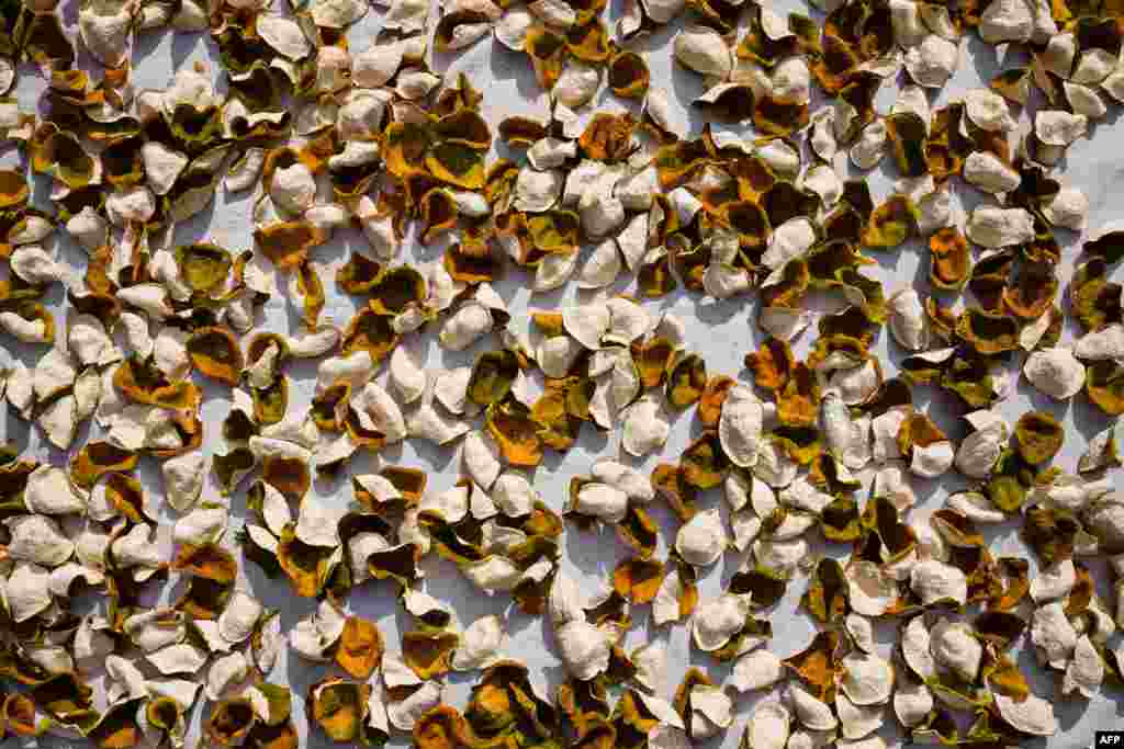Tangerine skins are laid out to dry under the sun in a playground of a government housing estate in Hong Kong.