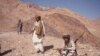 2016-yil Afg’onistonda Tolibon uchun qanday davr bo’ldi?