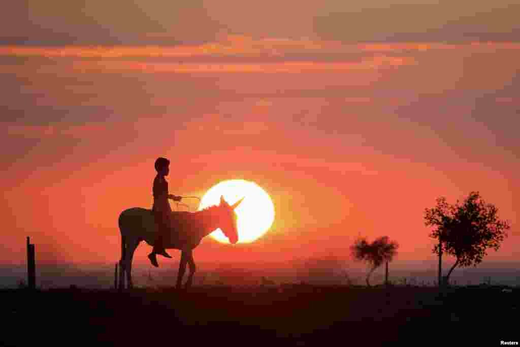 A Bedouin boy rides a donkey in a field near the southern city of Ofakim, Israel, Dec. 22, 2018.