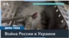 Массированная атака дронов на РФ: повреждены заводы в Брянске и в Рязани 