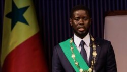 Tabale - Senegali, jamanakuntigi, Bassirou Faye, y’a ka kuma fɔlɔw lase jamanadenw ma, yɛrɛmahɔrɔnya san 64nan seli ɲɛjɛ
hugumu kɔnɔ.