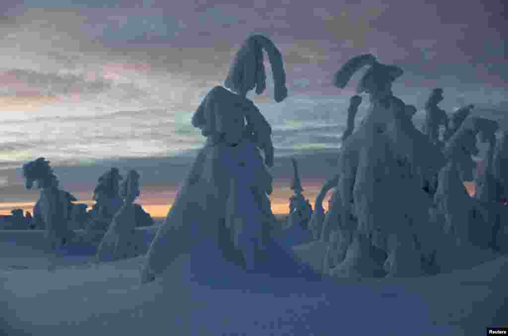 Trees covered with snow are seen after sunset at the mountain resort in Szczyrk, Poland.