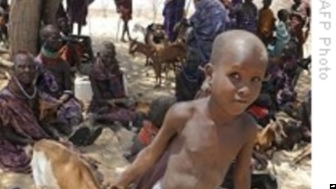 African Leaders Meet to Create Unified Climate Stance