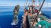Ocean Voyages Institute in Sausalito, California works to clean up trash in the ocean. Here, tons of garbage – much of it plastic -- from the Great Pacific Garbage Patch is being lifted onto a cargo sailing ship. (Courtesy of Ocean Voyages Institute)