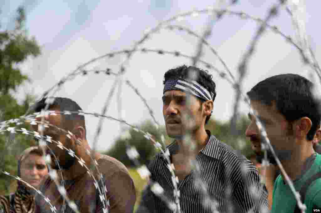 Confusion is rampant among migrants who reached the Hungarian border from Serbia, only to find a four-meter high fence blocking their way, Sept. 15, 2015. (Ayesha Tanzeem/VOA)